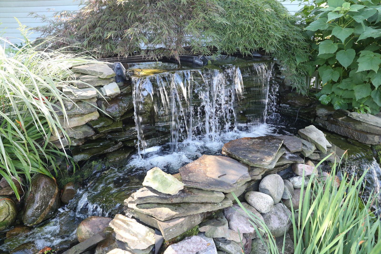 Beth and Brian Kreutzer's garden